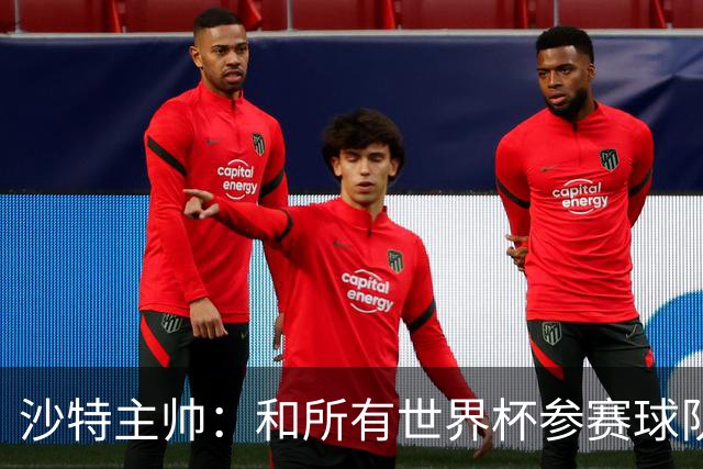 沙特主帅：和所有世界杯参赛球队一样，我们配得上来到这里